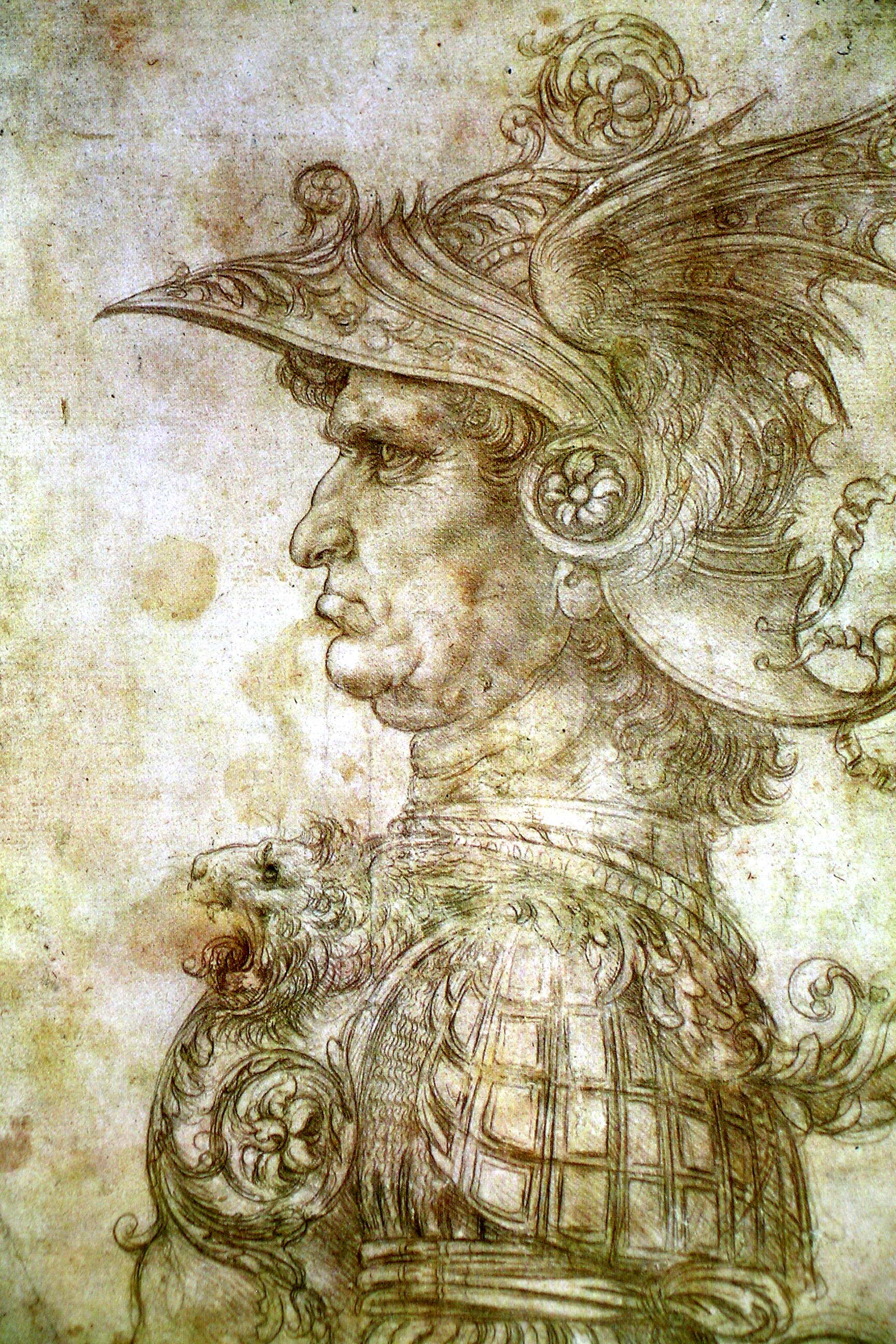 art3.jpg art 3 graphic